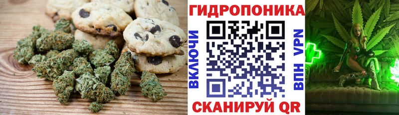 Canna-Cookies конопля  Купить  Свирск 