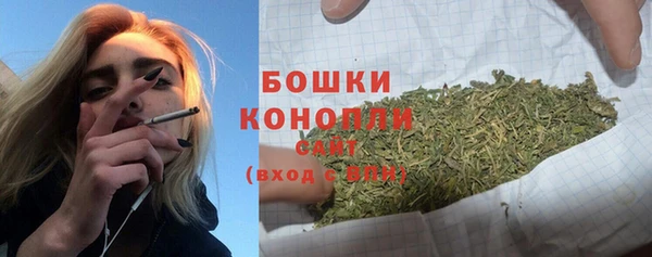 дживик Ладушкин