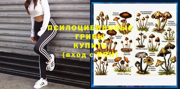 бошки Липки