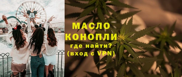 дживик Ладушкин